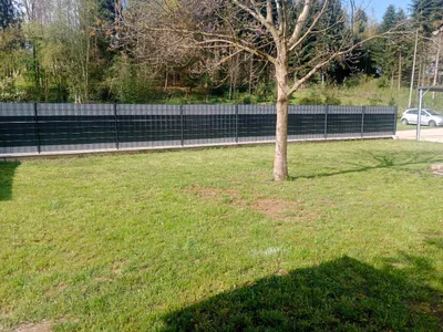 6-Zimmer-Haus mieten in Wels-Land – 144 m², € 1.600 – Bild 7 von 32
