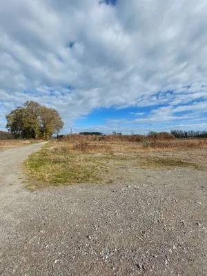 Gewerbeimmobilie mieten in Leibnitz – 500 m², € 13 – Bild 9 von 10