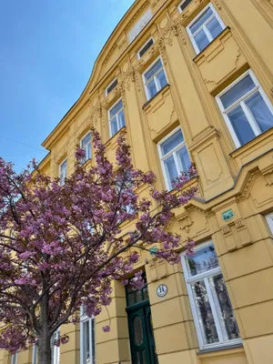 2-Zimmer-Wohnung mieten in Wien – 50 m², € 1.250 – Bild 15 von 25