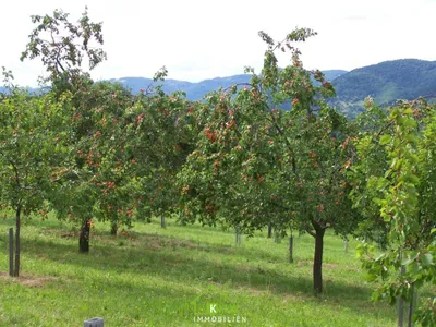 Grundstück kaufen in Krems Land – 34 343 m² – Bild 3 von 11