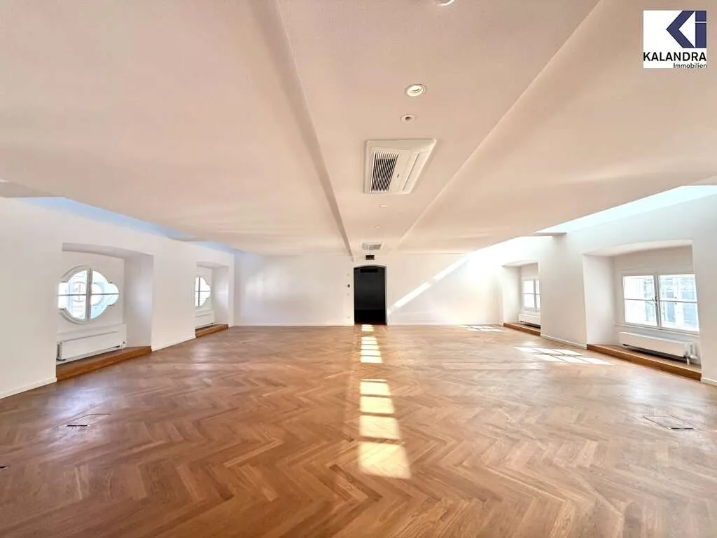 360 TOUR // PALAIS - BÜRO HARRACH - Widok 3