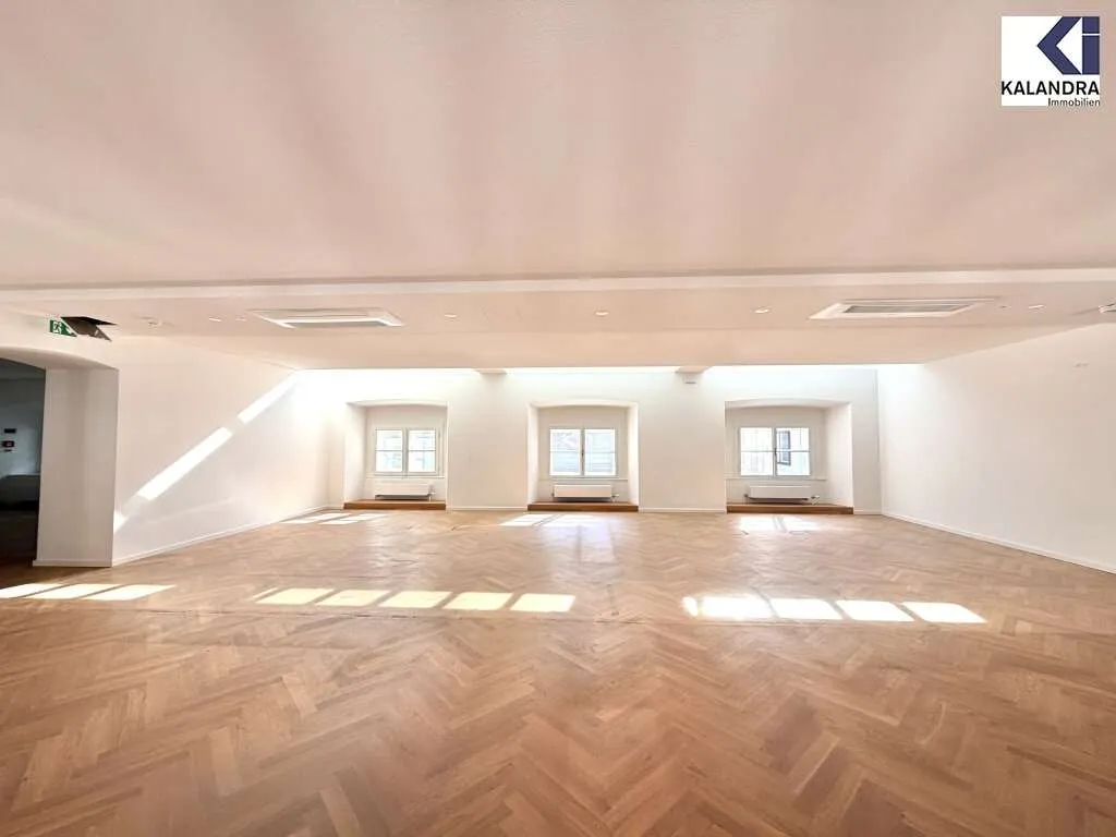 360 TOUR // PALAIS - BÜRO HARRACH - Widok 2