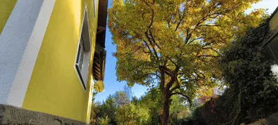 6-Zimmer-Haus kaufen in Graz – 161 m², € 349.000 – Bild 30 von 40