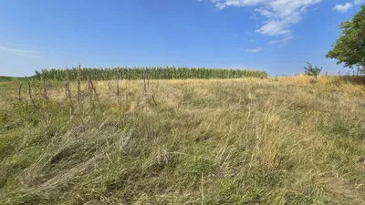 Immobilie kaufen in Tulln – 500 m², € 669.000 – Bild 23 von 23