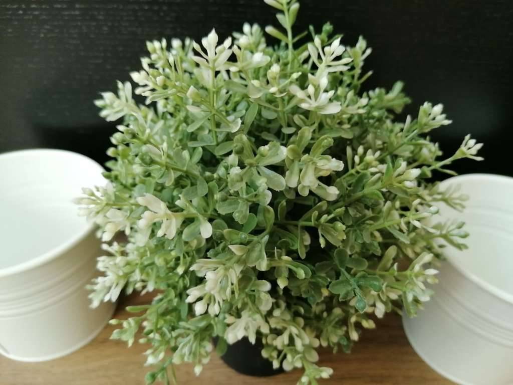 Ikea Blumentopf mit ikea Topfpflanze knstlich,  12,- (1160 Wien) -  willhaben