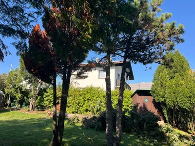 3-Zimmer-Haus mieten in Wien – 75 m², € 1.399 – Bild 3 von 30