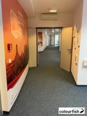 Gewerbeimmobilie mieten in Wien – 227 m², € 3.121 – Bild 3 von 6