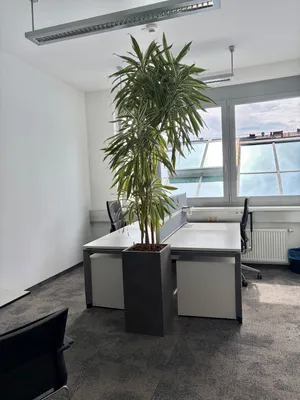 10-Zimmer-Gewerbeimmobilie mieten in Linz – 251 m², € 15 – Bild 4 von 7