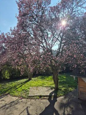 5-Zimmer-Haus kaufen in Graz – 120 m², € 469.000 – Bild 9 von 16