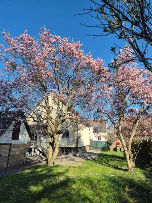 5-Zimmer-Haus kaufen in Graz – 120 m², € 469.000 – Bild 8 von 16