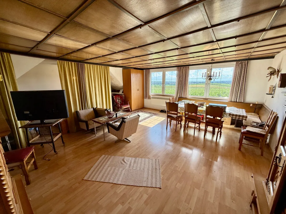 Umgebautes & Ehemaliges Presshaus als Wochenendhaus in Alberndorf! - Ansicht 3