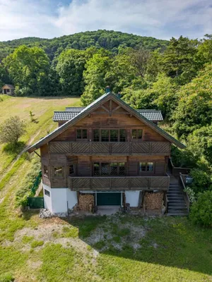 Haus kaufen in Mödling – 420 m², € 2.490.000 – Bild 3 von 22
