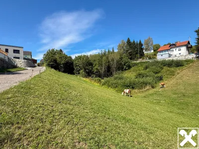 Grundstück kaufen in Urfahr-Umgebung – 1 083 m², € 45.000 – Bild 2 von 2