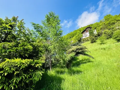 Grundstück kaufen in Bruck-Mürzzuschlag – 923 m², € 89.000 – Bild 5 von 11