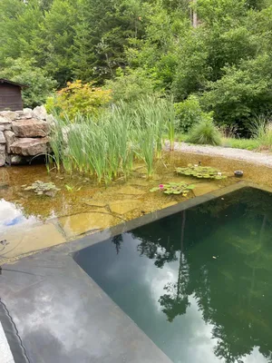 Gewerbeimmobilie kaufen in Lilienfeld – 479 m², € 1.000.000 – Bild 18 von 19