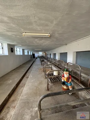 5-Zimmer-Haus kaufen in Horn – 180 m² – Bild 7 von 7