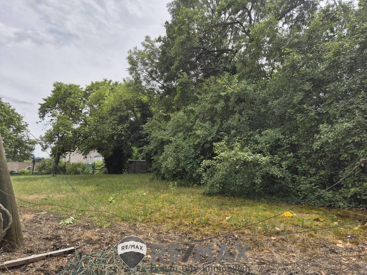 "Natur, Ruhe, Wien - Zuhause schaffen" - Ansicht 3
