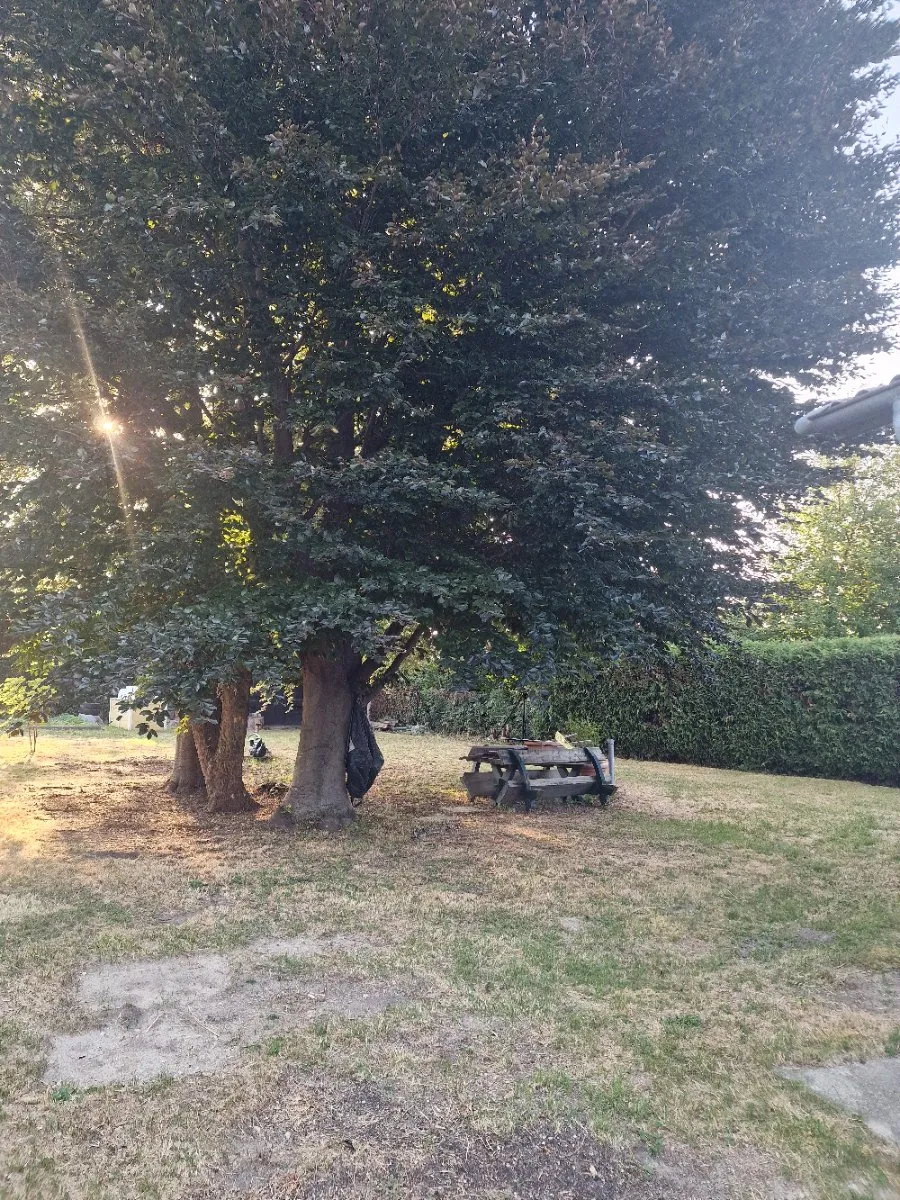 Großzügiges Bauland mit Holzhaus, Bachnähe & Altbaumbestand - Ansicht 2