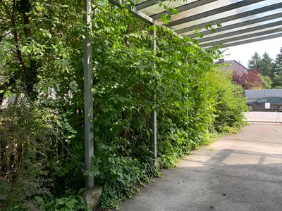 7-Zimmer-Gewerbeimmobilie mieten in Graz – 150 m², € 590.000 – Bild 4 von 5