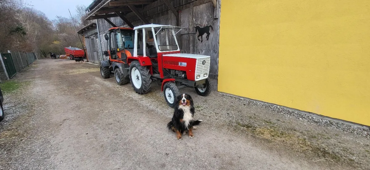 Steyr Sonstige