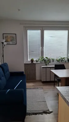 1-Zimmer-Wohnung mieten in Krems Land – 42 m², € 450 – Bild 8 von 11