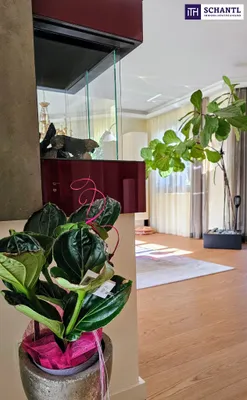8-Zimmer-Haus kaufen in Graz – 369 m², € 3.000.000 – Bild 20 von 28