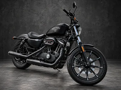Harley-Davidson Sportster XL883N Iron