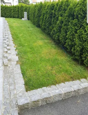 2-Zimmer-Wohnung mieten in Wels – 80 m², € 1.051 – Bild 27 von 32