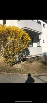 1-Zimmer-Wohnung kaufen in Graz – 36 m², € 115.000 – Bild 8 von 12