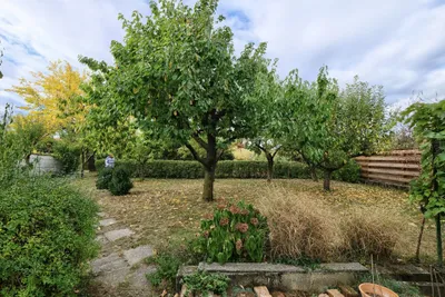 Haus kaufen in Oberpullendorf – 100 m², € 119.000 – Bild 3 von 13