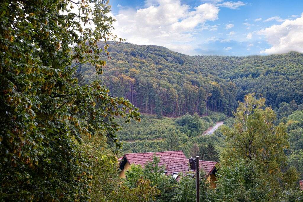 Ruhige Stadtrandlage mit Weitblick: Baugrundstück am Waldrand in schöner Wohngegend, Wien