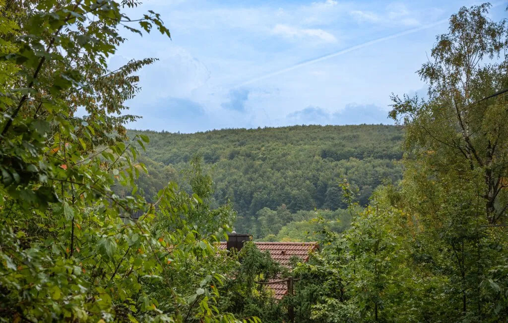 Ruhige Stadtrandlage mit Weitblick: Baugrundstück am Waldrand in schöner Wohngegend - Ansicht 3
