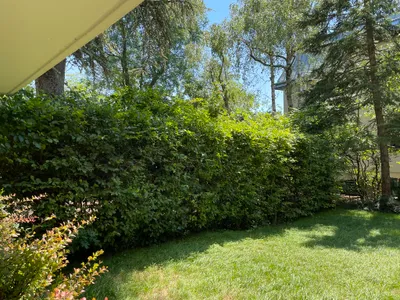 4-Zimmer-Wohnung kaufen in Wien – 103 m², € 679.000 – Bild 10 von 25
