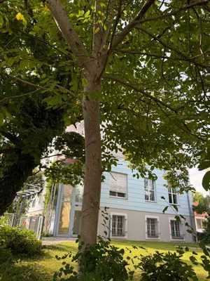Gewerbeimmobilie mieten in Graz – 432 m², € 8.000 – Bild 40 von 46
