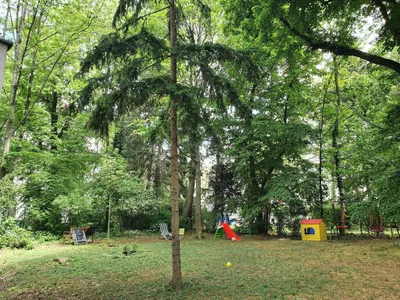 2-Zimmer-Wohnung mieten in Wien – 44,14 m², € 774 – Bild 13 von 14