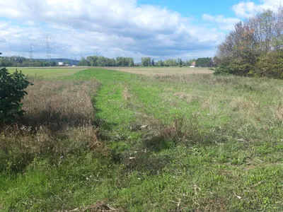 Grundstück kaufen in Tulln – 514 m², € 98.000 – Bild 6 von 12