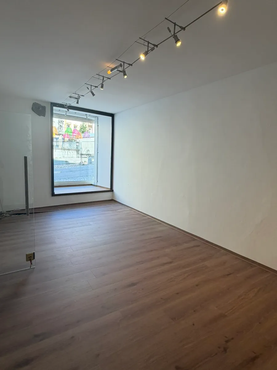 Geschäfts-/ Büro- oder Therapieräumlichkeit im Schärdinger Stadtzentrum - Neu saniert! - Ansicht 2