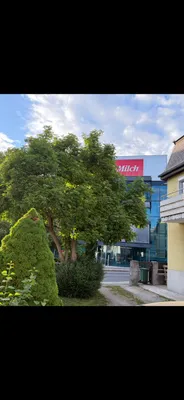 2-Zimmer-Wohnung mieten in Salzburg Stadt – 33 m², € 840 – Bild 2 von 7
