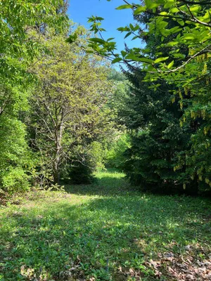 Grundstück kaufen in Tulln – 1 350 m², € 399.000 – Bild 5 von 9