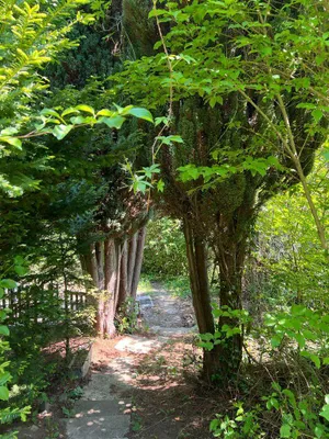 Grundstück kaufen in Tulln – 1 350 m², € 399.000