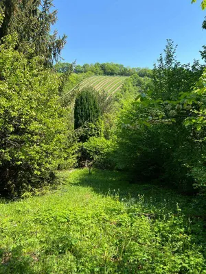 Grundstück kaufen in Tulln – 1 350 m², € 399.000 – Bild 2 von 9