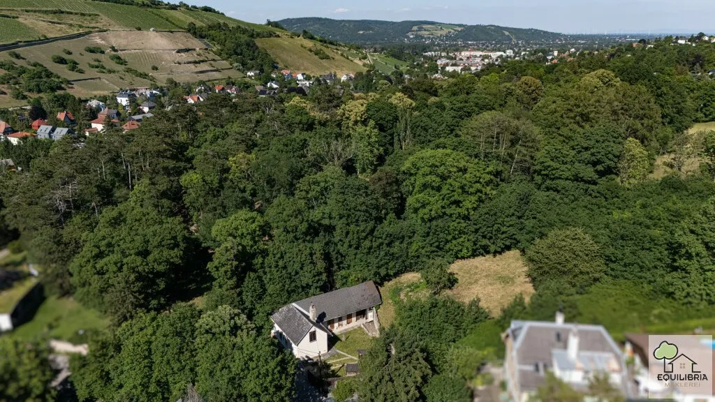 Exklusives Baugrundstück in Klosterneuburg/Weidling ! - Ansicht 2