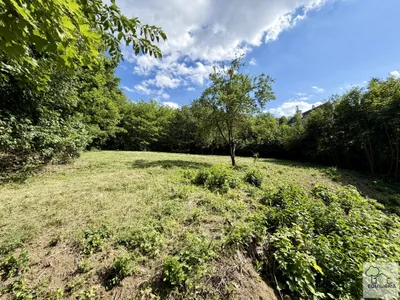 Grundstück kaufen in Tulln – 3 677 m², € 898.000 – Bild 6 von 10
