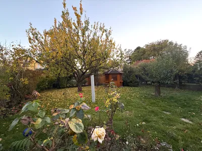 5-Zimmer-Haus kaufen in Wien – 120 m², € 495.000 – Bild 3 von 26