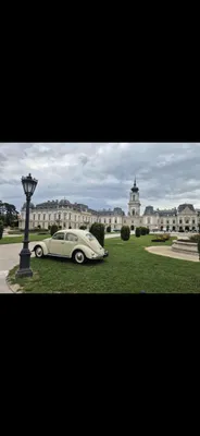 VW Käfer