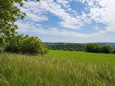 Grundstück kaufen in Tulln – 1 064 m², € 18.000 – Bild 3 von 3