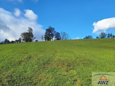 Grundstück kaufen in Weiz – 2 615 m² – Bild 2 von 8