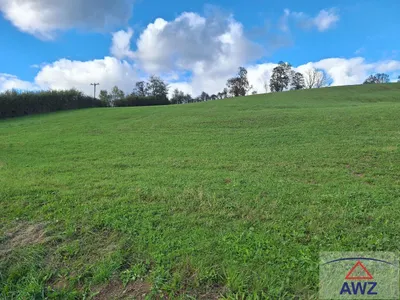 Grundstück kaufen in Weiz – 2 615 m² – Bild 5 von 8