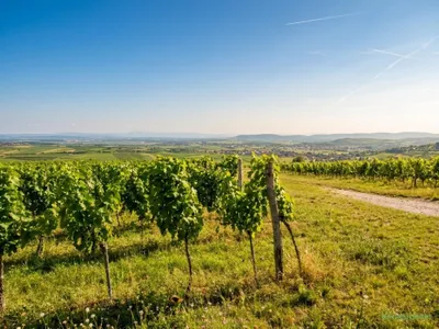 Grundstück kaufen in Krems Land – 245 m² – Bild 12 von 13