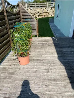 3-Zimmer-Wohnung mieten in Amstetten – 100 m², € 900 – Bild 9 von 9